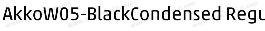 AkkoW05-BlackCondensed Regular字体转换